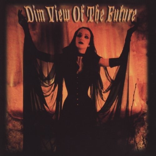 Cover for Dim View Of The Future (CD) (1998)