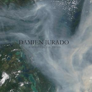 Damien Jurado · Caught In The Trees (CD) (2008)