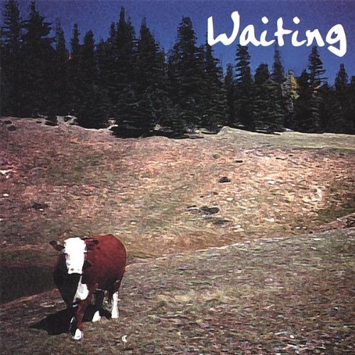 Waiting - By Faith - Musik - By Faith - 0677357001525 - 13. august 2002