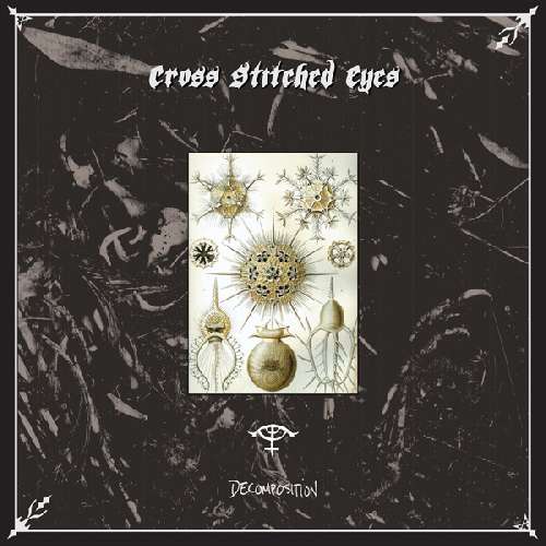 Cover for Cross Stitched Eyes · Decomposition (CD) (2012)