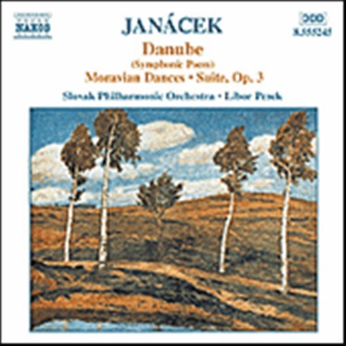 Danube (Symphonic Poem) - Janacek / Valaskova / Husek / Pesek / Slovak Po - Musik - NAXOS - 0747313524525 - 19. februar 2002