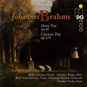 Horn Trio-Clarinet Trio - Johannes Brahms - Musique - MDG - 0760623059525 - 21 mars 2002