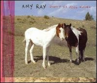 Cover for Amy Ray · Didn't It Feel Kinder (CD) (2008)