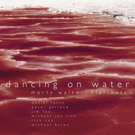 Cover for Walker / Winant / Johnson / Allen / Pezzone · Dancing on Water (CD) (2001)