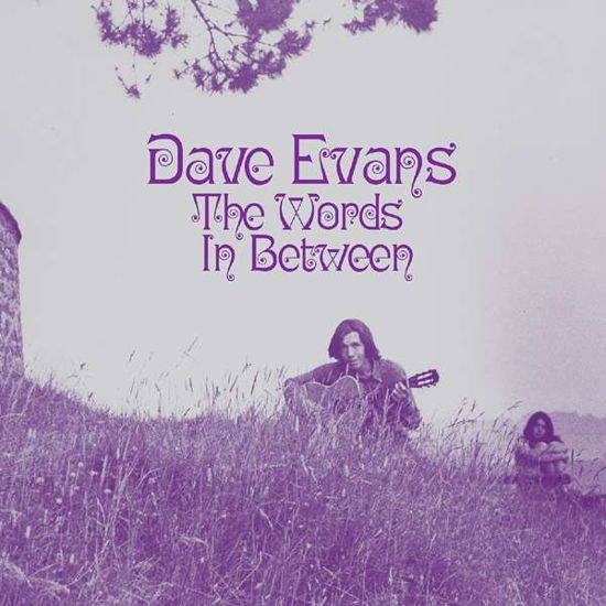 Cover for Dave Evans · The Words Inbetween (CD) [Reissue edition] (2018)