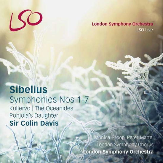 Cover for London Symphony Orchestra &amp; Davis · J.S. Bach: Symphonies No.1-7 (CD) (2017)