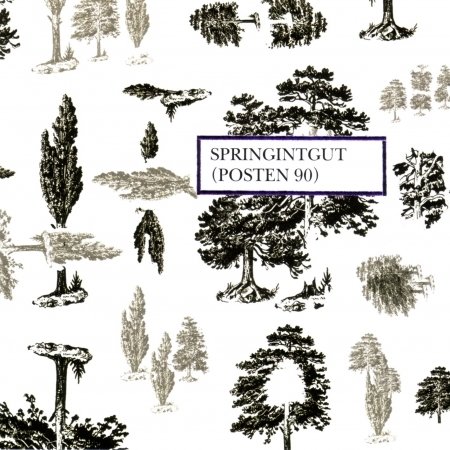 Cover for Springintgut · Posten 90 (CD) (2023)