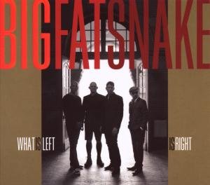 Cover for Big Fat Snake · What is Left is Right (CD) (2009)