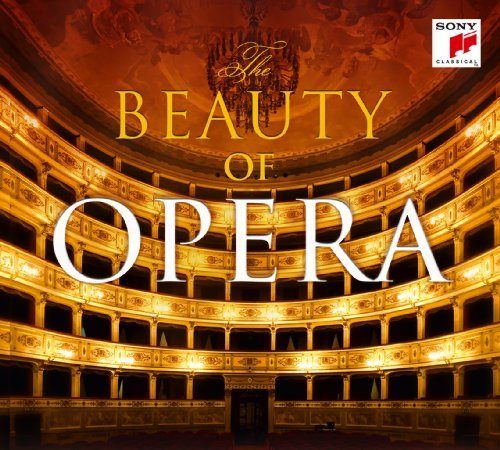 Beauty of Opera,2CD-A - Netrebko / Domingo / Villazon / Garanca / Grigolo/+ - Bücher - SONY CLASSIC - 0886977083525 - 8. Oktober 2010