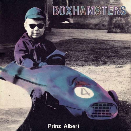 Cover for Boxhamsters · Prinz Albert (LP) (2018)