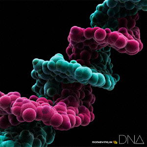 Cover for Monkey Majik · Dna (CD) [Japan Import edition] (2013)