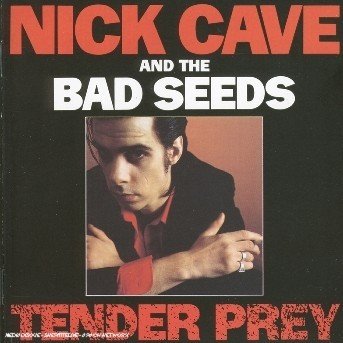 Cover for Cave Nick &amp; Bad Seeds the · Tender Prey (CD) (2004)