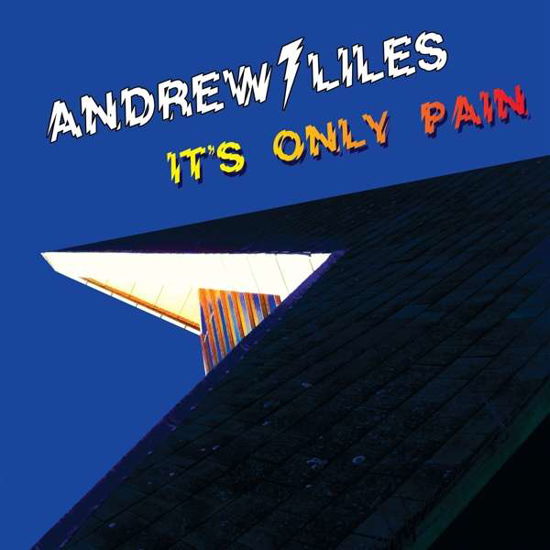 Cover for Andrew Liles · It's Only Pain (LP) (2021)