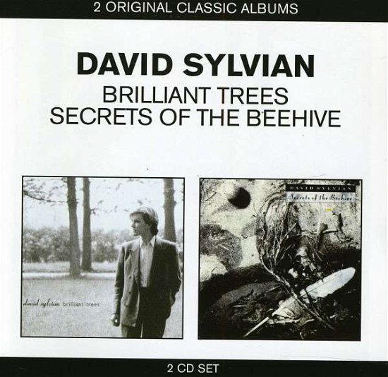 Brilliant Trees / Secrets - David Sylvian - Music - EMI - 5099908255525 - August 16, 2016