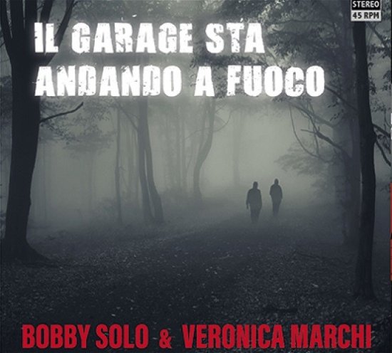 Cover for Bobby Solo &amp; Veronica Marchi · Il Garage Sta Andando A Fuoco (LP) (2020)