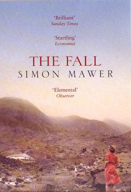 The Fall - Simon Mawer - Books - Little, Brown Book Group - 9780349116525 - April 1, 2004