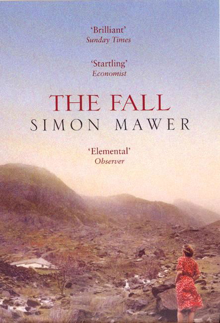 Cover for Simon Mawer · The Fall (Paperback Book) (2004)