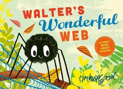 Cover for Tim Hopgood · Walter's Wonderful Web: A First Book About Shapes (Hardcover bog) (2016)