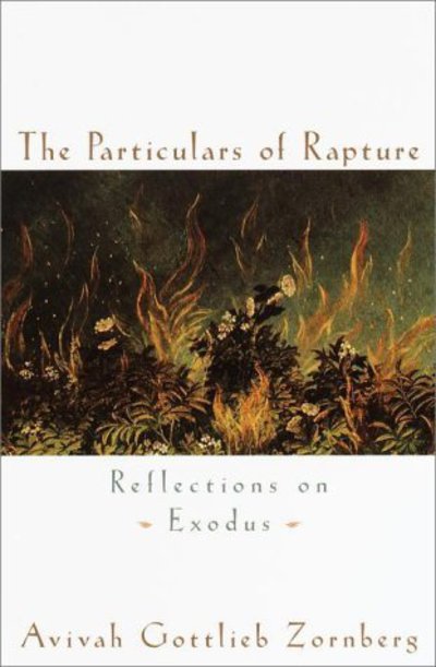 Cover for Avivah Gottlieb Zornberg · The Particulars of Rapture: Reflections of Exodus (Hardcover Book) (2001)