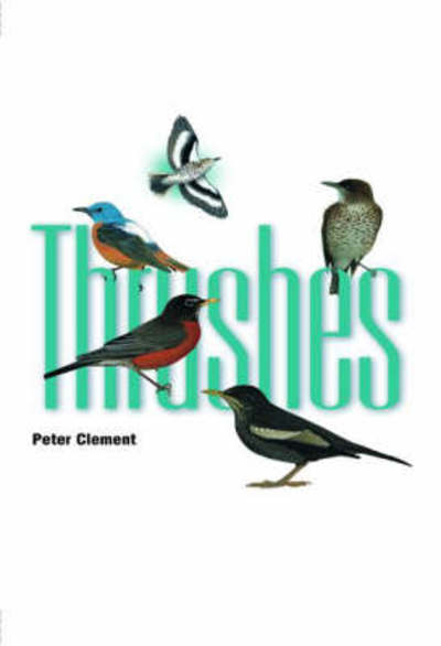 Cover for Peter Clement · Thrushes (Hardcover Book) (2020)