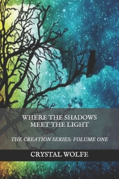 Cover for Crystal Wolfe · Where the Shadows Meet the Light (Paperback Book) (2018)