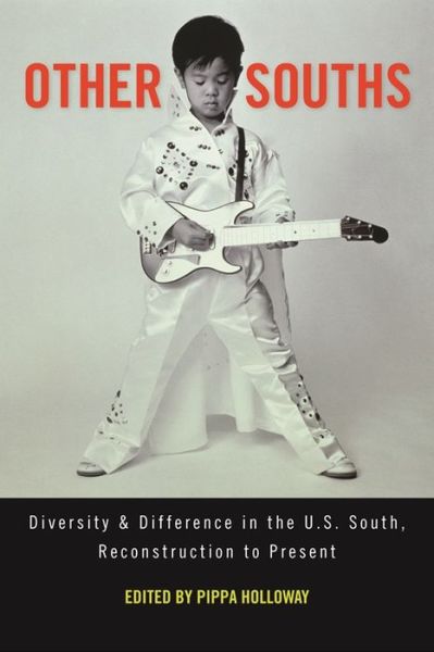 Cover for Other Souths: Diversity and Difference in the U.S. South, Reconstruction to Present (Paperback Book) (2008)