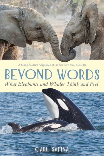 Cover for Carl Safina · Beyond Words: What Elephants and Whales Think and Feel (A Young Reader's Adaptation) - Beyond Words (Paperback Book) (2021)