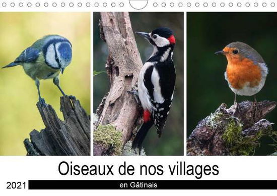 Oiseaux de nos villages en Gâtina - Denis - Livres -  - 9781325623525 - 