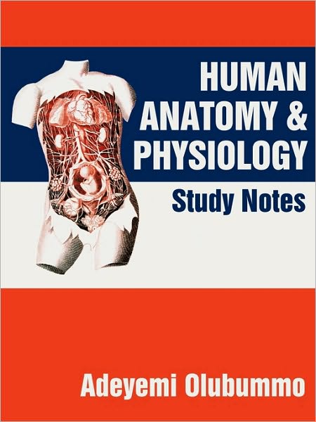 Cover for Adeyemi Olubummo · Human Anatomy and Physiology: Study Notes (Paperback Book) (2010)