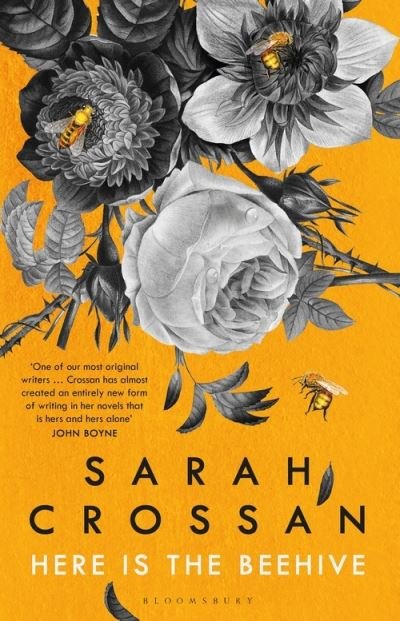 Here is the Beehive: Shortlisted for Popular Fiction Book of the Year in the AN Post Irish Book Awards - Sarah Crossan - Boeken - Bloomsbury Publishing PLC - 9781526619525 - 8 juli 2021