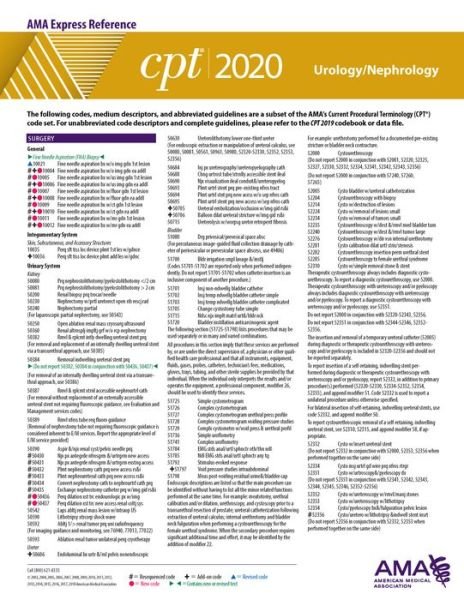 Cover for Ama · CPT 2020 Express Reference Coding Card (Paperback Book) (2019)