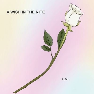 Cover for Cal · A Wish in the Nite (Paperback Bog) (2021)