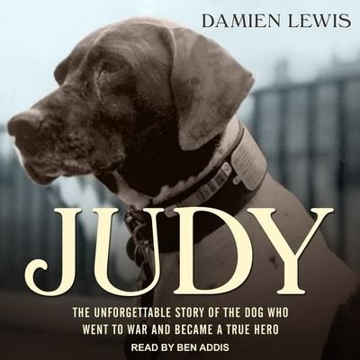 Cover for Damien Lewis · Judy (CD) (2017)