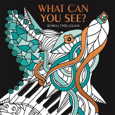 Cover for Gemma Cooper · What Can You See?: Hidden picture puzzles to decode and colour. - Activity (Children's) (Paperback Book) (2016)