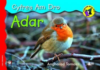 Cyfres am Dro: 3. Adar - Angharad Tomos - Books - Y Lolfa - 9781847718525 - October 8, 2020