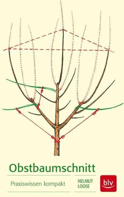 Obstbaumschnitt - Loose - Książki -  - 9783835414525 - 