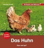 Cover for Veronika Straaß · Das Huhn / Sonderausgabe (Pamphlet) (2021)