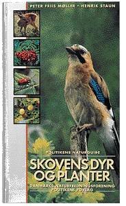 Cover for Peter Friis Møller · Skovens dyr og planter (Hæftet bog) [1. udgave] (1996)