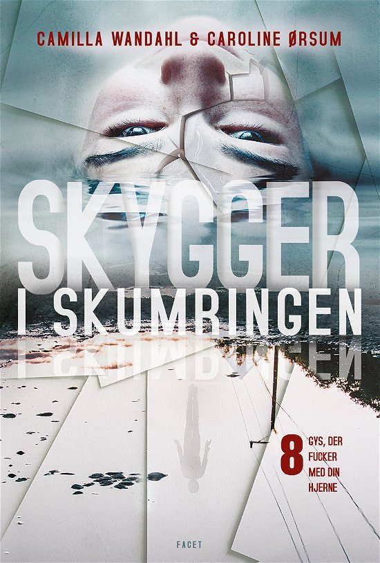 Cover for Camilla Wandahl &amp; Caroline Ørsum · Skygger i skumringen (Hardcover Book) [1º edição] (2019)