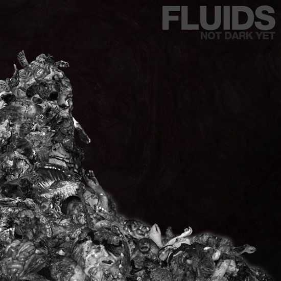 Cover for Fluids · Not Dark Yet (LP) (2021)
