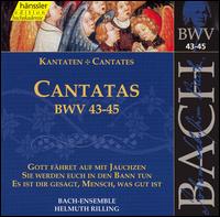 Cover for Bach / Gachinger Kantorei / Rilling · Sacred Cantatas Bwv 43-45 (CD) (1999)