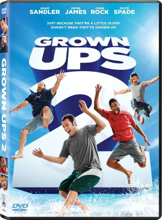 Cover for Grown Ups 2 (DVD) (2013)