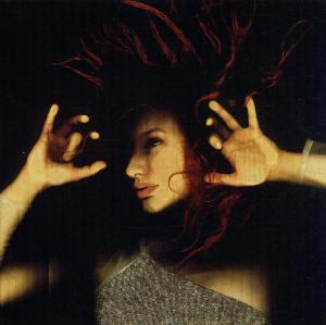 Cover for Tori Amos · From the Choirgirl Hotel (CD) (1998)