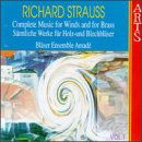 Cover for Scnöll Klaus Rainer / Bläserensemble Ama · Fröhliche Werkstatt Arts Music Klassisk (CD) (2000)