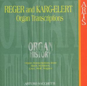 Organ History - Tran Arts Music Klassisk - Sacchetti - Muziek - DAN - 0600554755526 - 2000