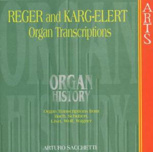 Cover for Sacchetti · Organ History - Tran Arts Music Klassisk (CD) (2000)