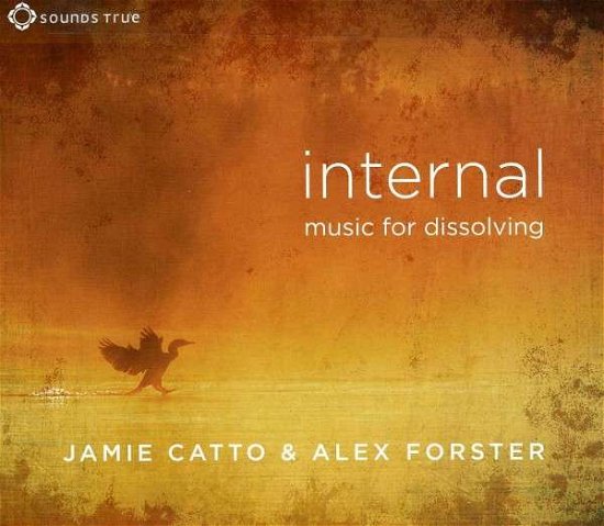 Cover for Catto, Jamie / Alex Forster · Internal (CD) [Digipak] (2013)