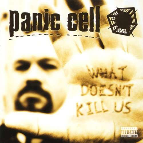 Cover for Panic Cell · What Doesn't Kill U (CD) (2015)