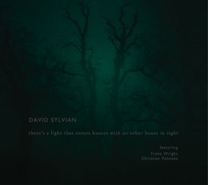 There's a Light That Enters Houses with No Other House in Sight - David Sylvian - Musik - SAMADHI - 0633367782526 - 20. november 2014