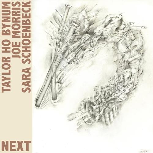 Cover for Bynum,taylor Ho / Morris,joe / Schoenbeck,sara · Next (CD) (2011)